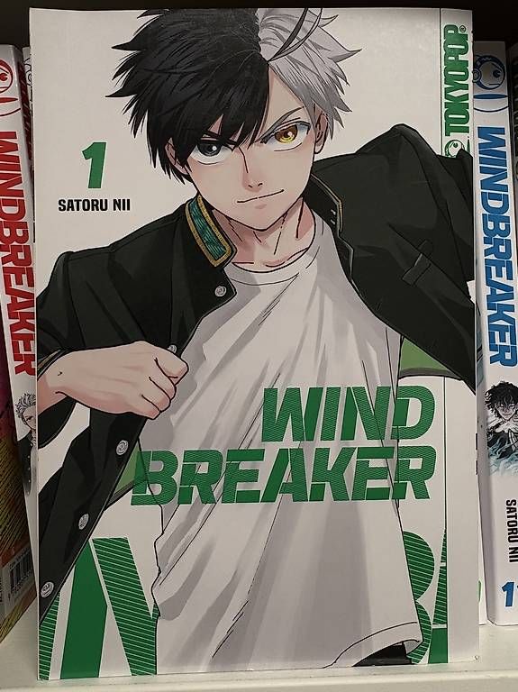 Fumetti: Wind Breaker Manga 1-19 – Usato da Schleinikon venduto da kar_8ww7