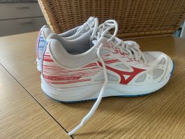 Mitzuno Hallenschuh