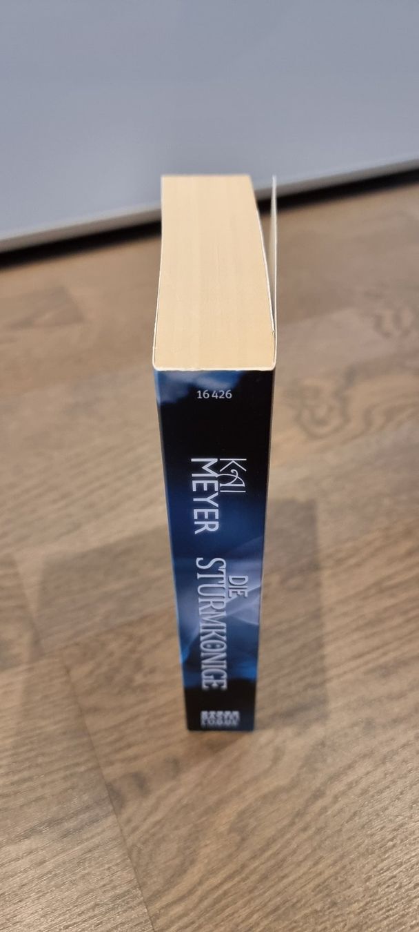Libri: Die Sturmkönige - Kai Meyer – Usato da Hinterforst venduto da impatiently 2