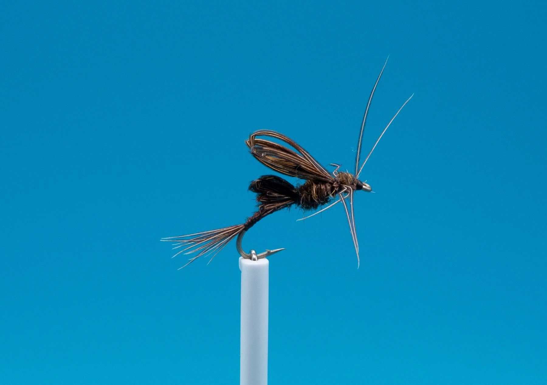 Köder: 5 verschiedene Nymph – Neu (gemäss Beschreibung) aus Grenchen von firefly2000 2