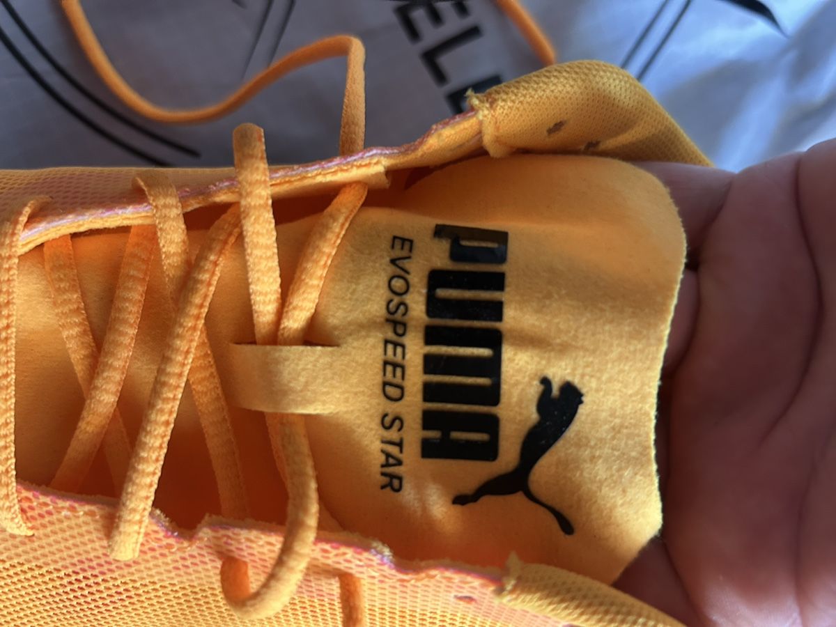 Puma Chaussures femmes: Evospeed Star Nagelschuh Gr. 40.5 – Neuf (Voir description) à Willisau par Geissbock11 2