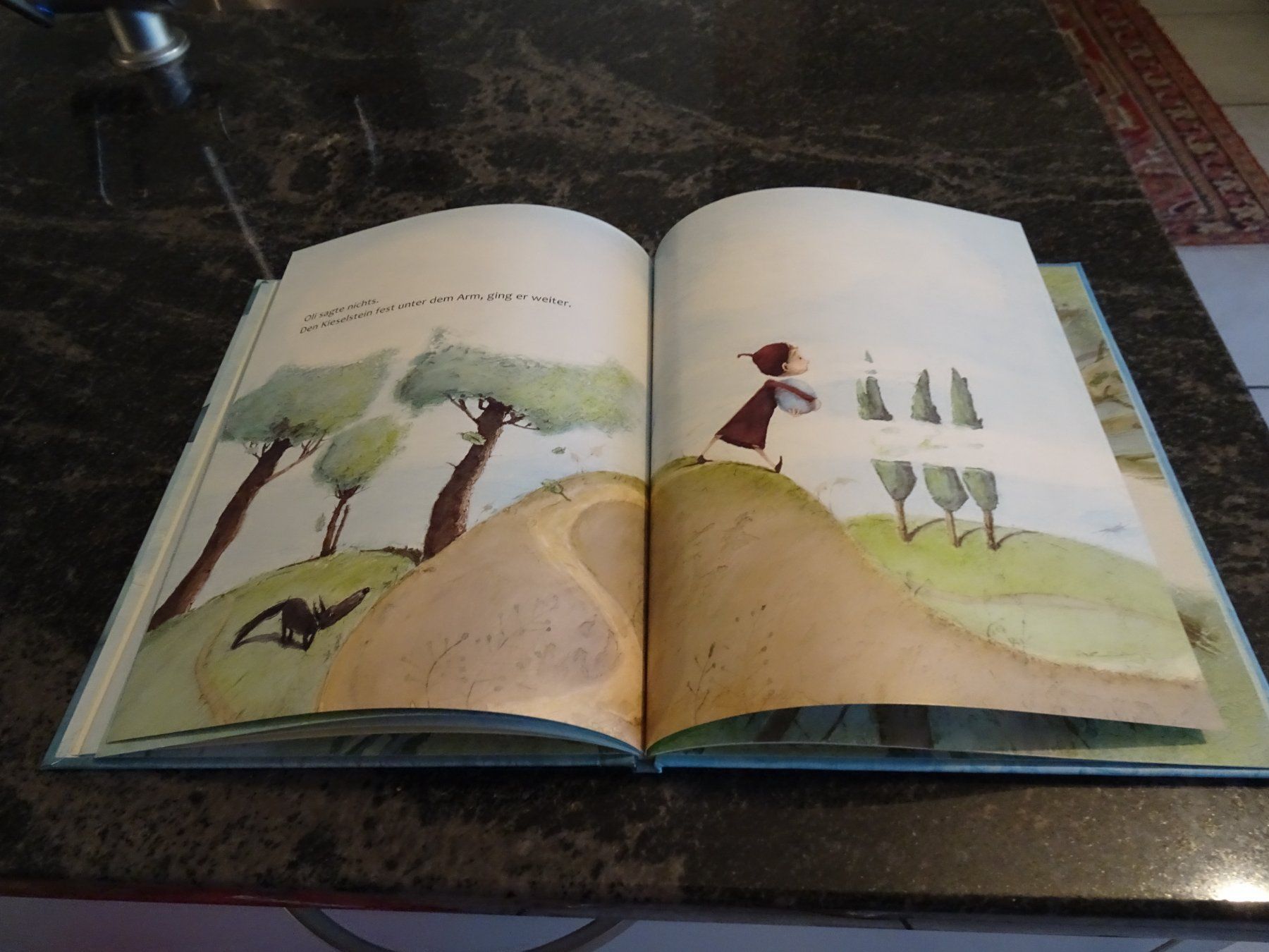 Bücher: Bilderbuch Der Blaue Stein Schöne Bilder / – Gebraucht aus Zürich von Roulet 4