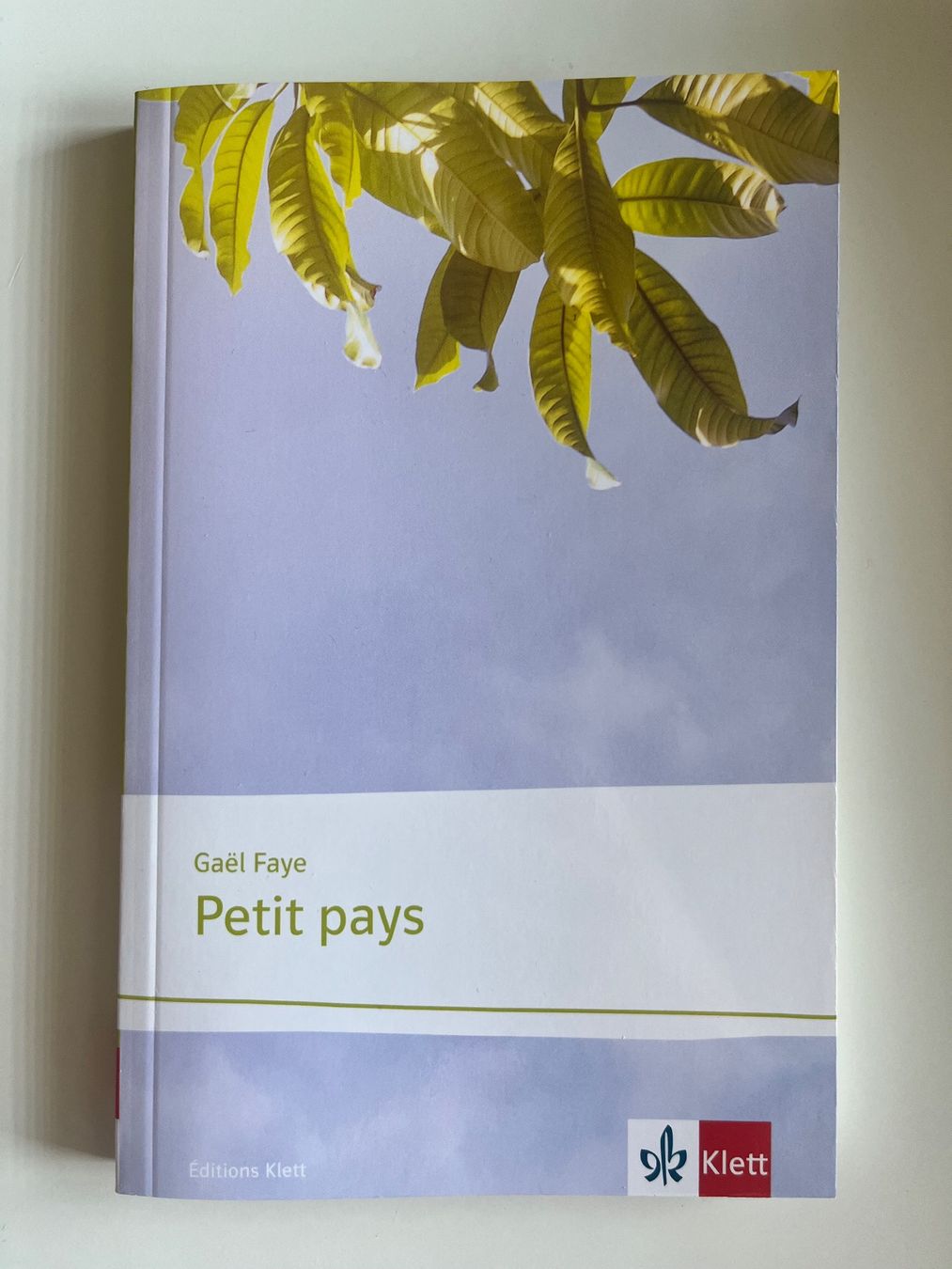 Bücher: Petit Pays, Gaël Faye – Neu (gemäss Beschreibung) aus Dürrenäsch von mwa_nv9n