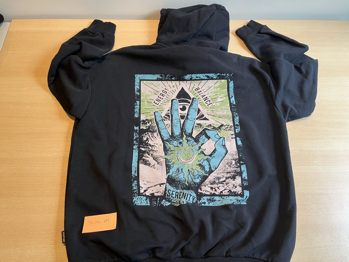 Lotti di vestiti: Set de 4 pulls hoodies taille M – Usato da Romont FR venduto da cat_j6ww 2