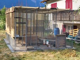 Grosse vierteilige Voliere - Grösse 3x4m