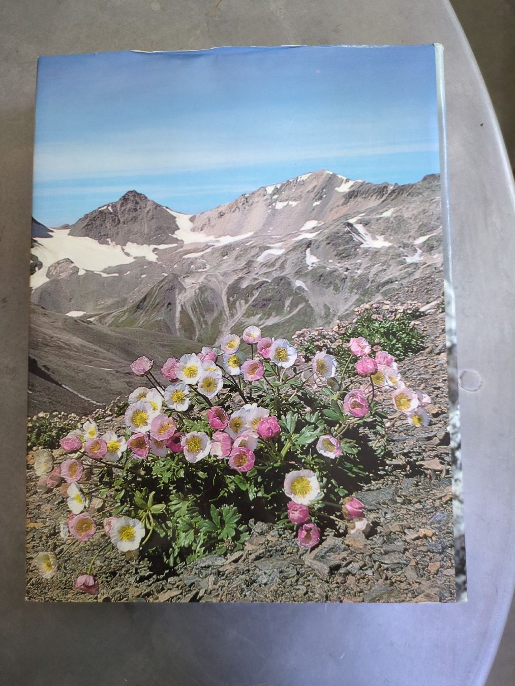 Bücher: Faszinierende Welt der Alpenblumen Buch Ringier – Gebraucht aus Ermatingen von trendyquitaeten 1