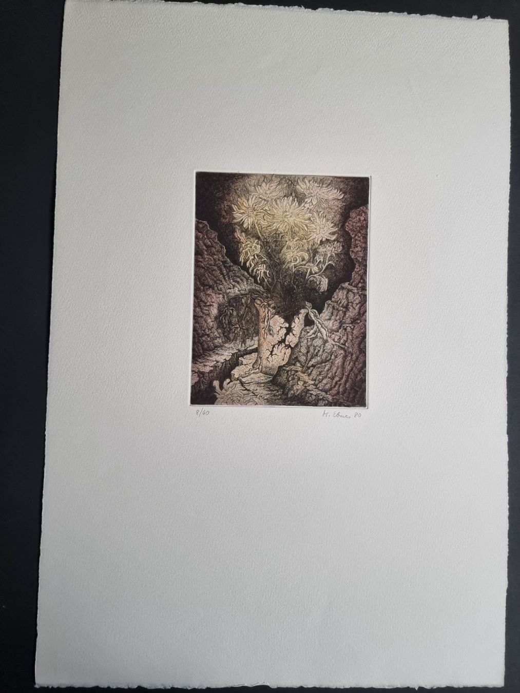 Grafica & Litografie: EBNER MARKUS RADIERUNG SIGNIERT NUMMERIERT – Usato da Gersau venduto da grafik-kunst 2