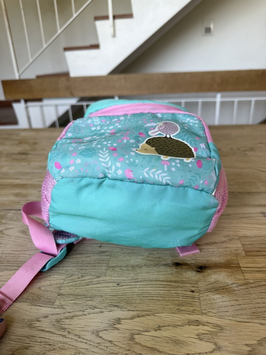 Borse & Zaini: Kindergarten-Rucksack – Usato da Pfaffhausen venduto da flaviajunqueira 2