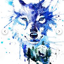 Profile image of Davos-Traiding