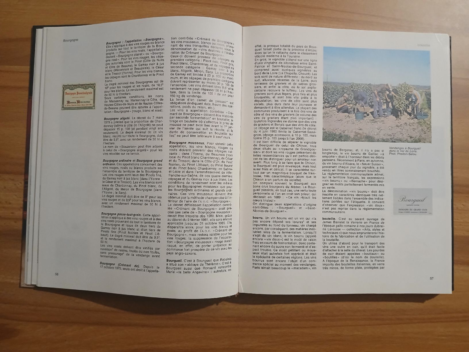 Libri: Larousse Les vin – Usato da Le Sentier venduto da arc_2thy 2