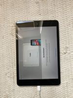 APPLE iPad  A1490  schwarz/grau