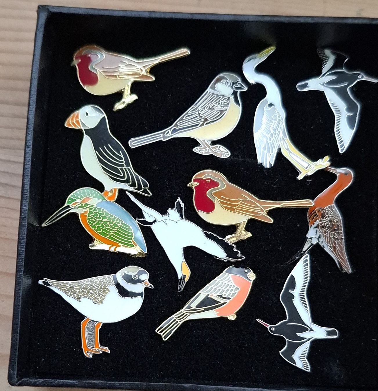Broschen & Nadeln: 12 Vogel Anstecker Brosche Pin – Gebraucht aus Buochs von regenbogen7365