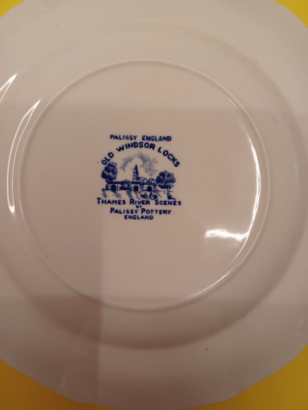 Set di piatti: Englischer Kaffee-Service "Palissy Pottery, England – Usato da Oberwil-Lieli venduto da golfer44 1