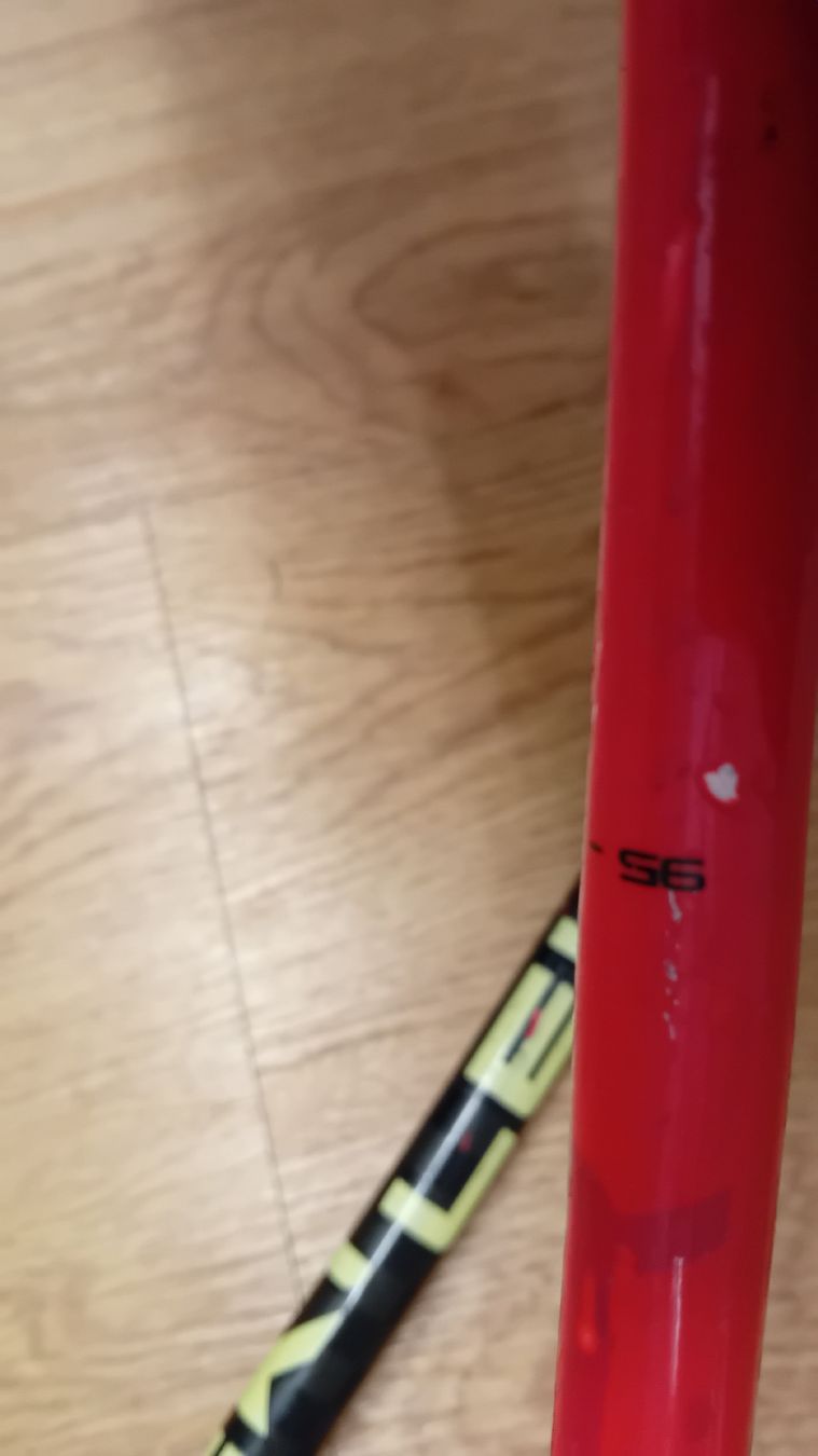 Leki Bâtons de ski: Leki Rennstöcke 95cm – D'occasion à Giswil par Hudra06 2