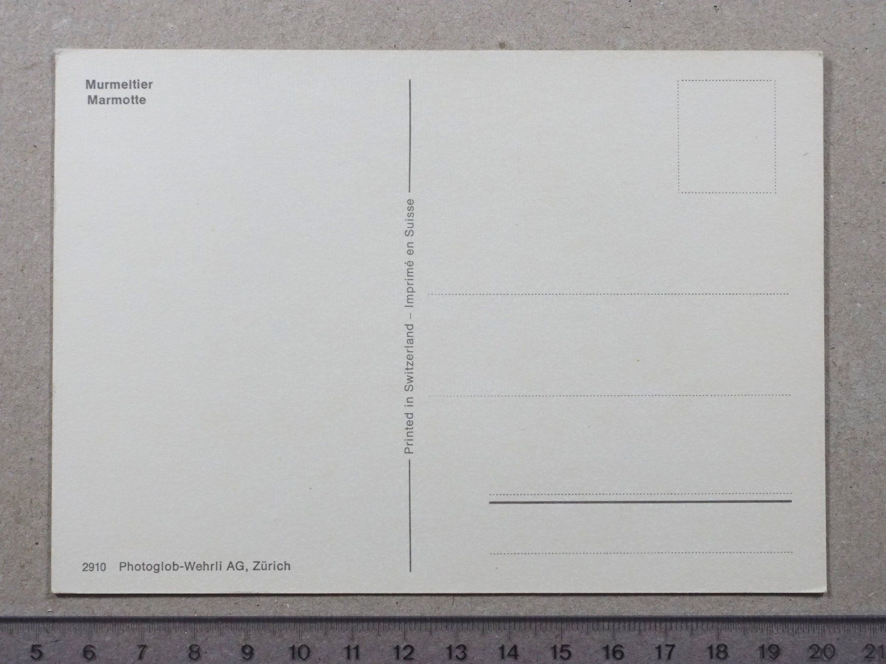 Ansichtskarten: Murmeltier – Gebraucht aus Lenzburg von fh1 1