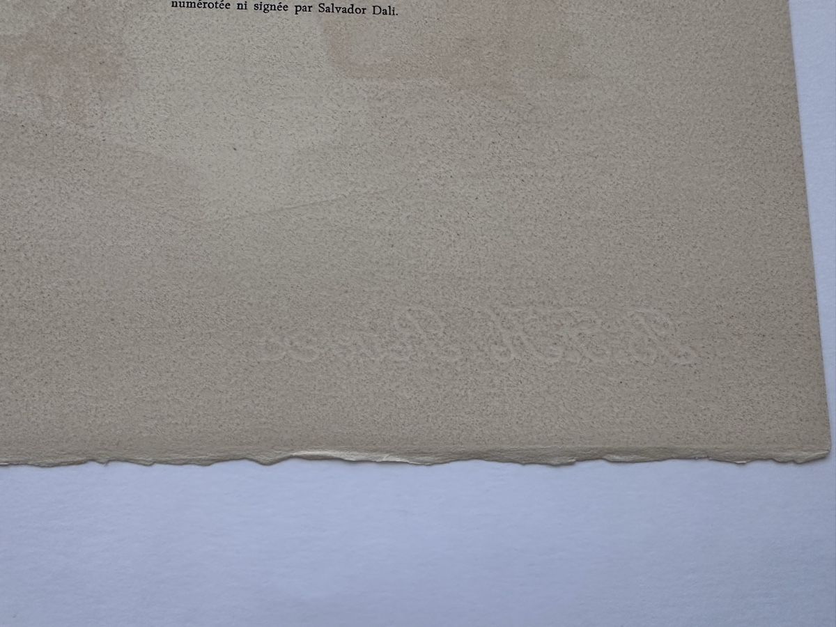 Grafica & Litografie: Salvador Dali Divine Comedy Lithography  – Usato da Zürich venduto da Ddechkovd 2