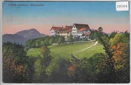 Solothurn Weissenstein - Litho