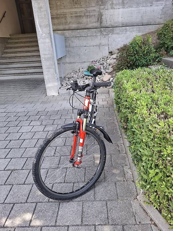 Velos: Fahrrad, Specialized – Gebraucht aus Köniz von nlca 2