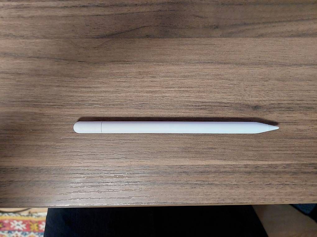Apple Penna & Evidenziatori: Apple Pencil USB C – Usato da Schlieren venduto da DGamboni