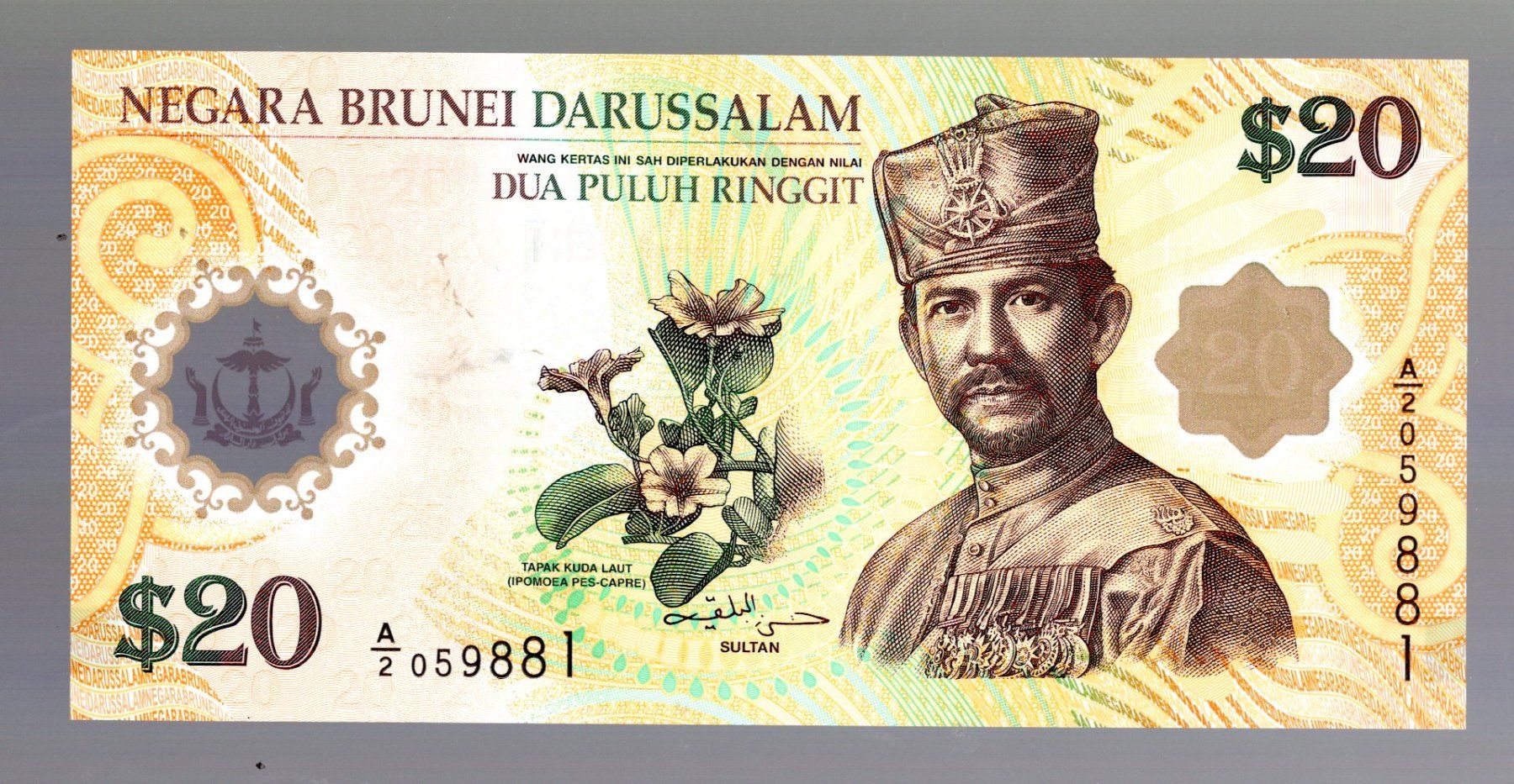Billets de banque: Brunei 20 ringgit UNZ – Neuf (Voir description) à Leibstadt par baroc333 1