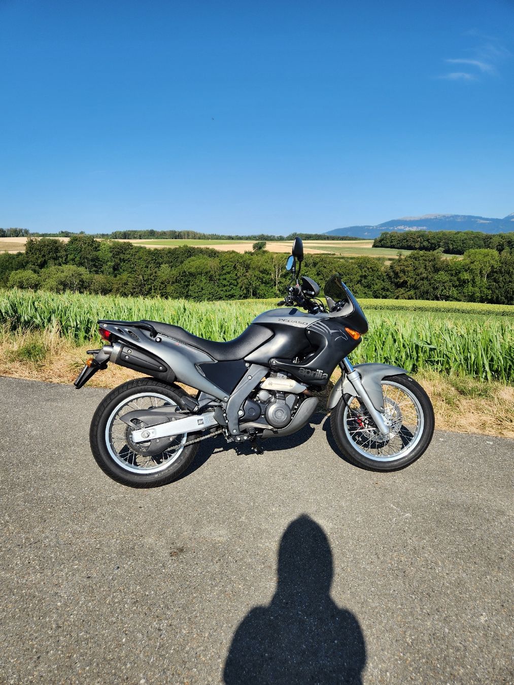 Aprilia Enduro: Aprilia Pegaso 650 2004 – Usato da Schüpfen venduto da joa_hsw5 1