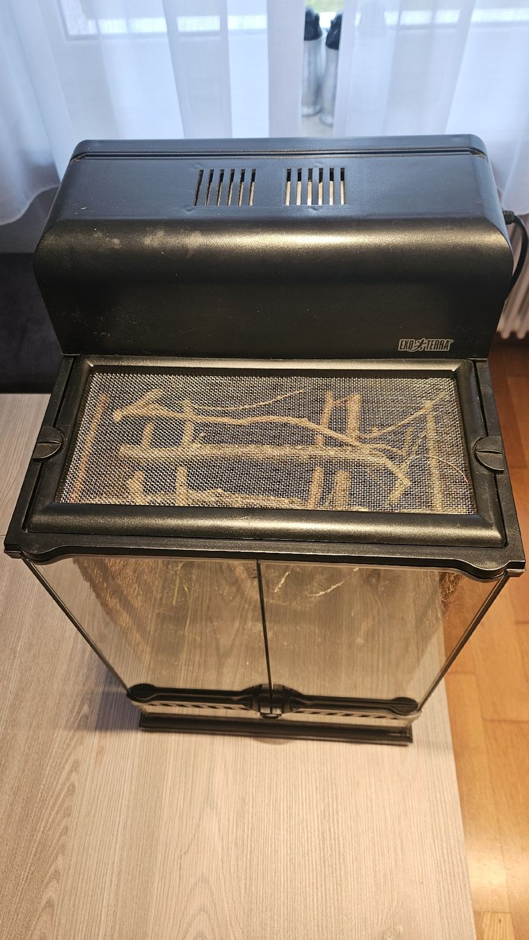 Terrario: Exo Terra Terrarium 30x30x47 mit Lampe – Usato da Zumikon venduto da Madsi41 5