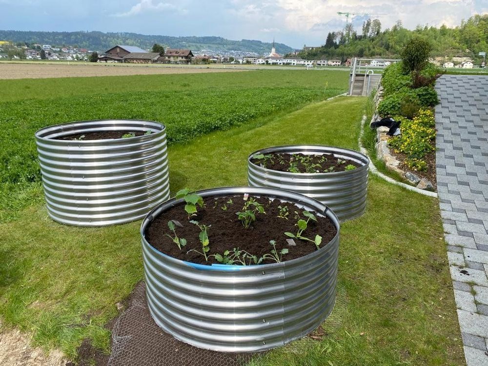 Hochbeet,Gartenbeet,Dekoration,Garten,Kräuter,Gemüse Kaufen auf Ricardo