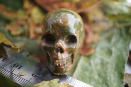 Urwald Ryolith  Skull 40mm  –Edelsteinstube Rausverkauf