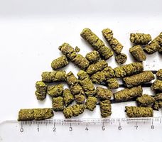 Morsam Pellets als Ergänzungsernährung für Pferde
