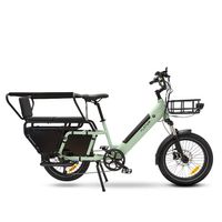 BICICLETTA ELETTRICA CARGO PLATUM VAN