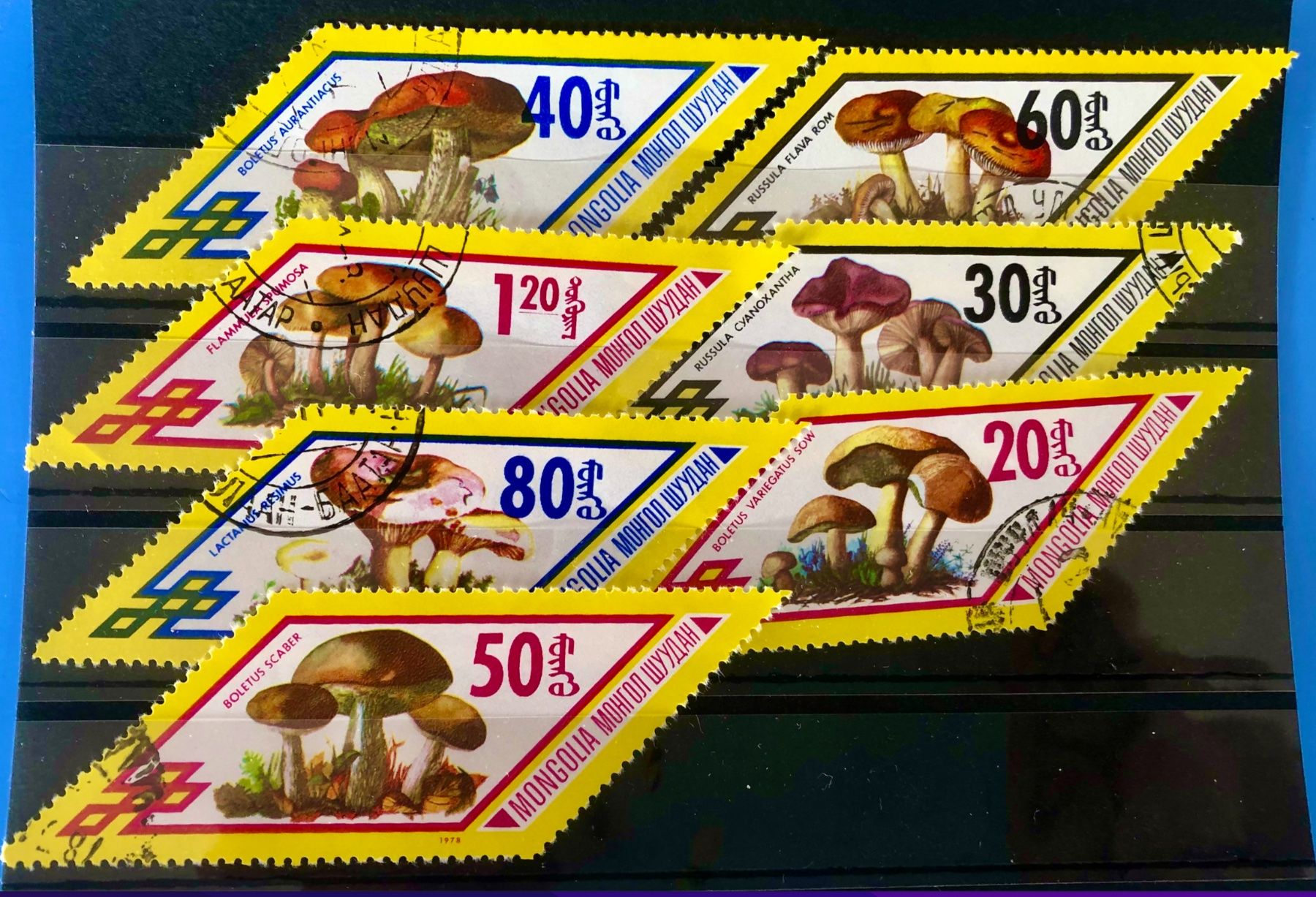 Tutti i francobolli: MONGOLIA  BRIEFMARKEN GESTEMPELT   – Usato da Aarau venduto da Angi-007