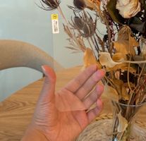 iPhone 17 Pro MAX Panzerglas Clear 2er-Set