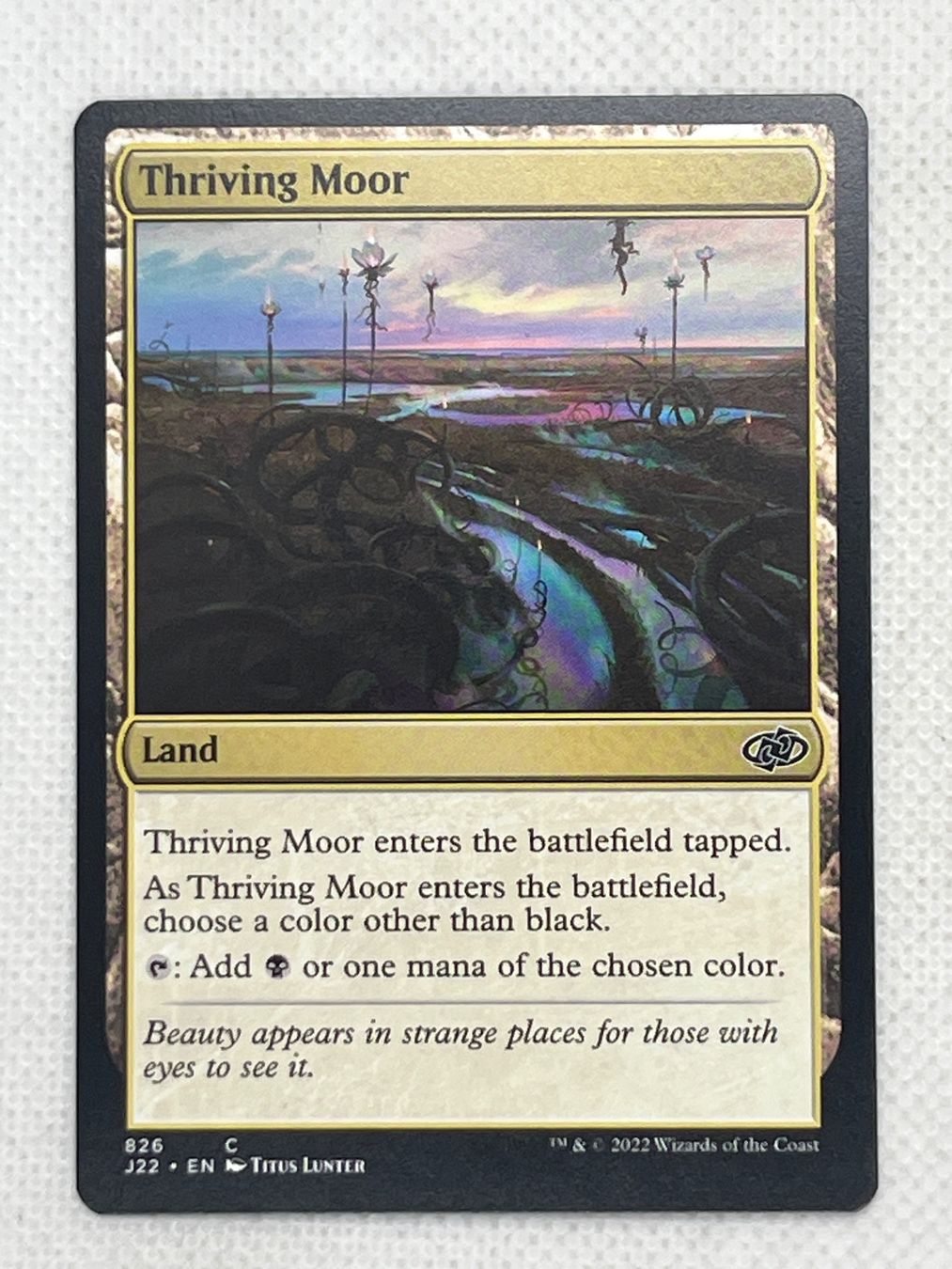 Magic The Gathering Carte collezionabili: MTG Thriving Moor J22 826 Englisch Common – Usato da Hinterkappelen venduto da Kim1992