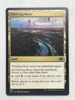 Thriving Moor - Magic the Gathering Sammelkarte - Selten!