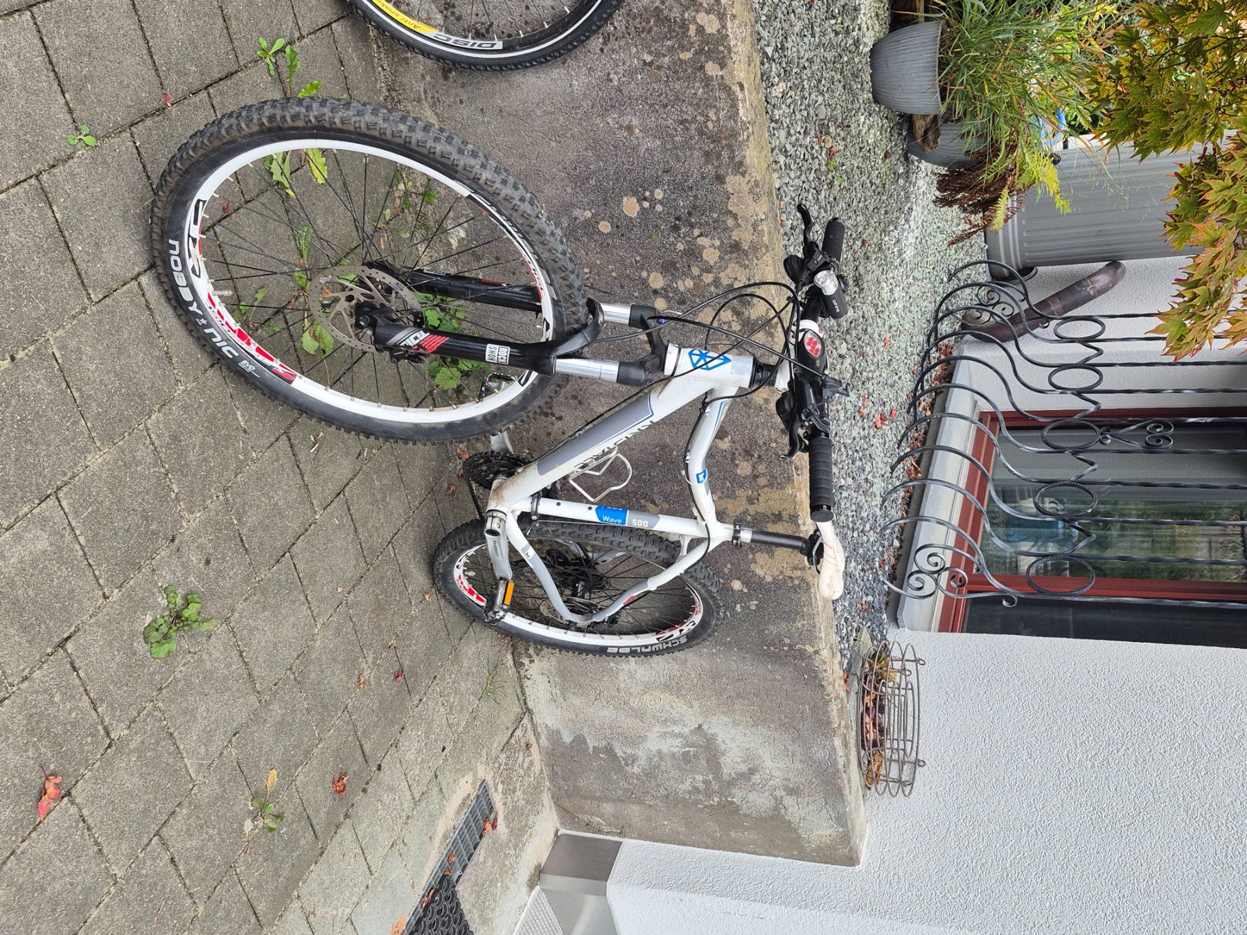 Biciclette: Bike – Usato da Lachen SZ venduto da pat_62tc 2