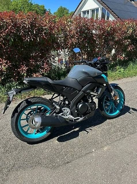 Strada: Yamaha MT-125 – Usato da Bözen venduto da Rustico