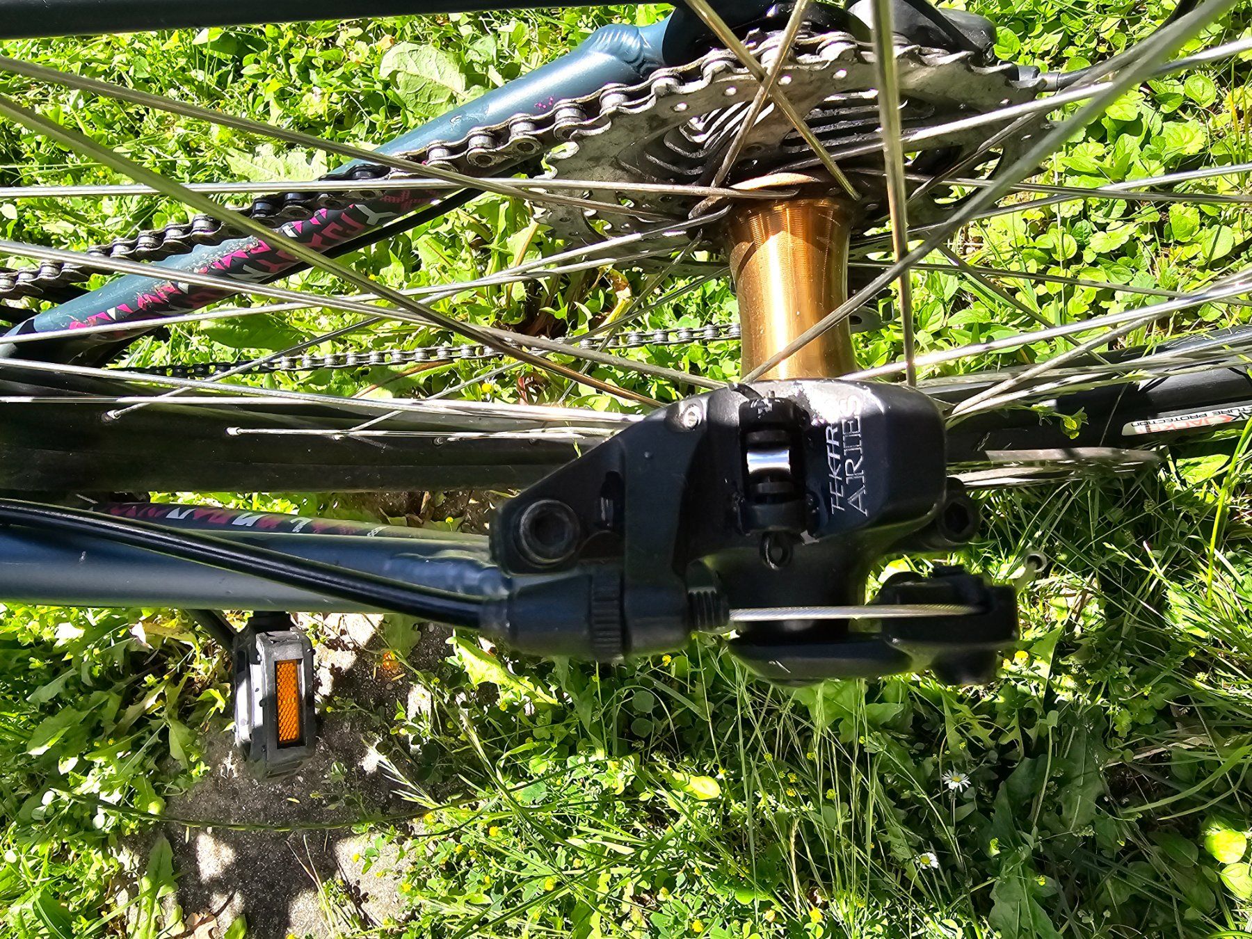 Specialized Biciclette: Specialized velo mountain bike – Usato da Riehen venduto da  2