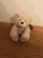 Süsser Teddy (weiches Plüsch)
