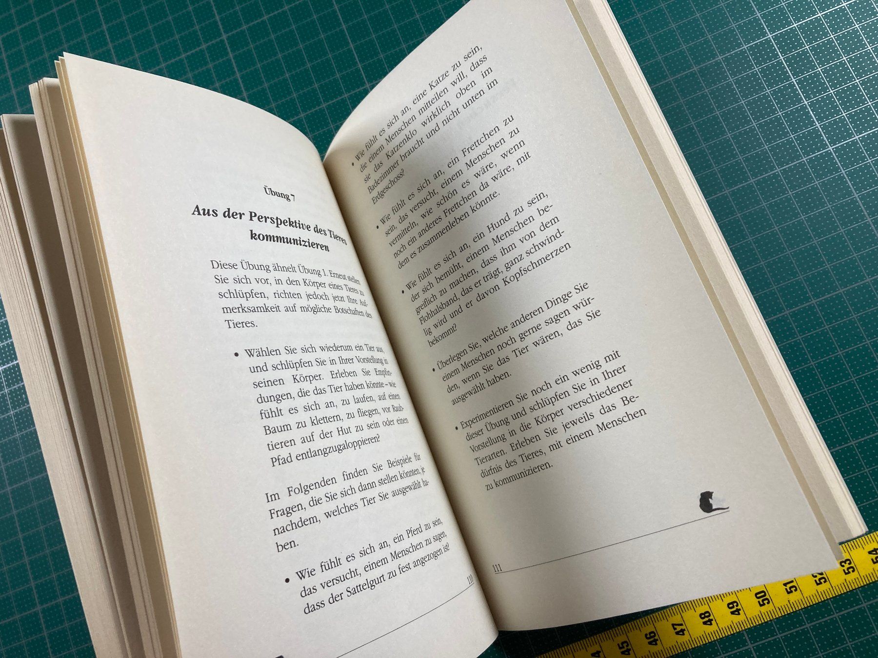 Libri: Judy Meyer: Mit Tieren sprechen – Usato da Lenzburg venduto da fh1 9