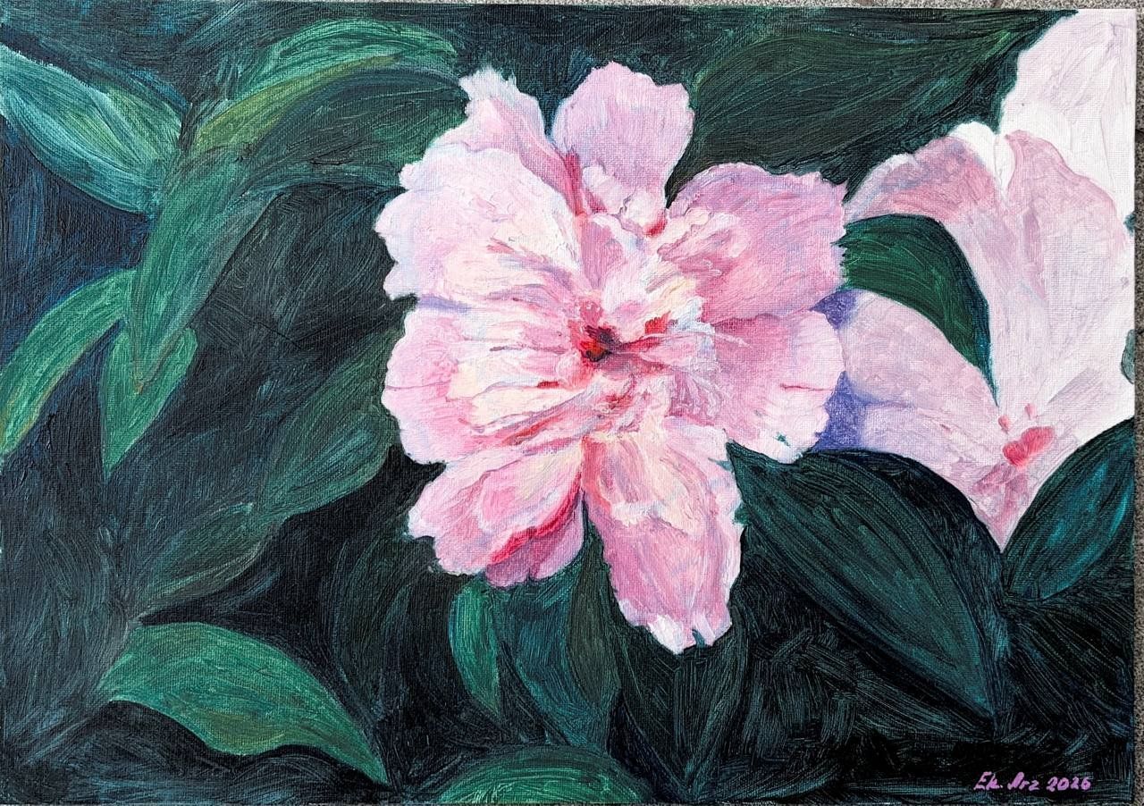 Dipinti: Ölgemälde Pfingstrose – Nuovo (secondo la descrizione) da Meggen venduto da My_art_for_you