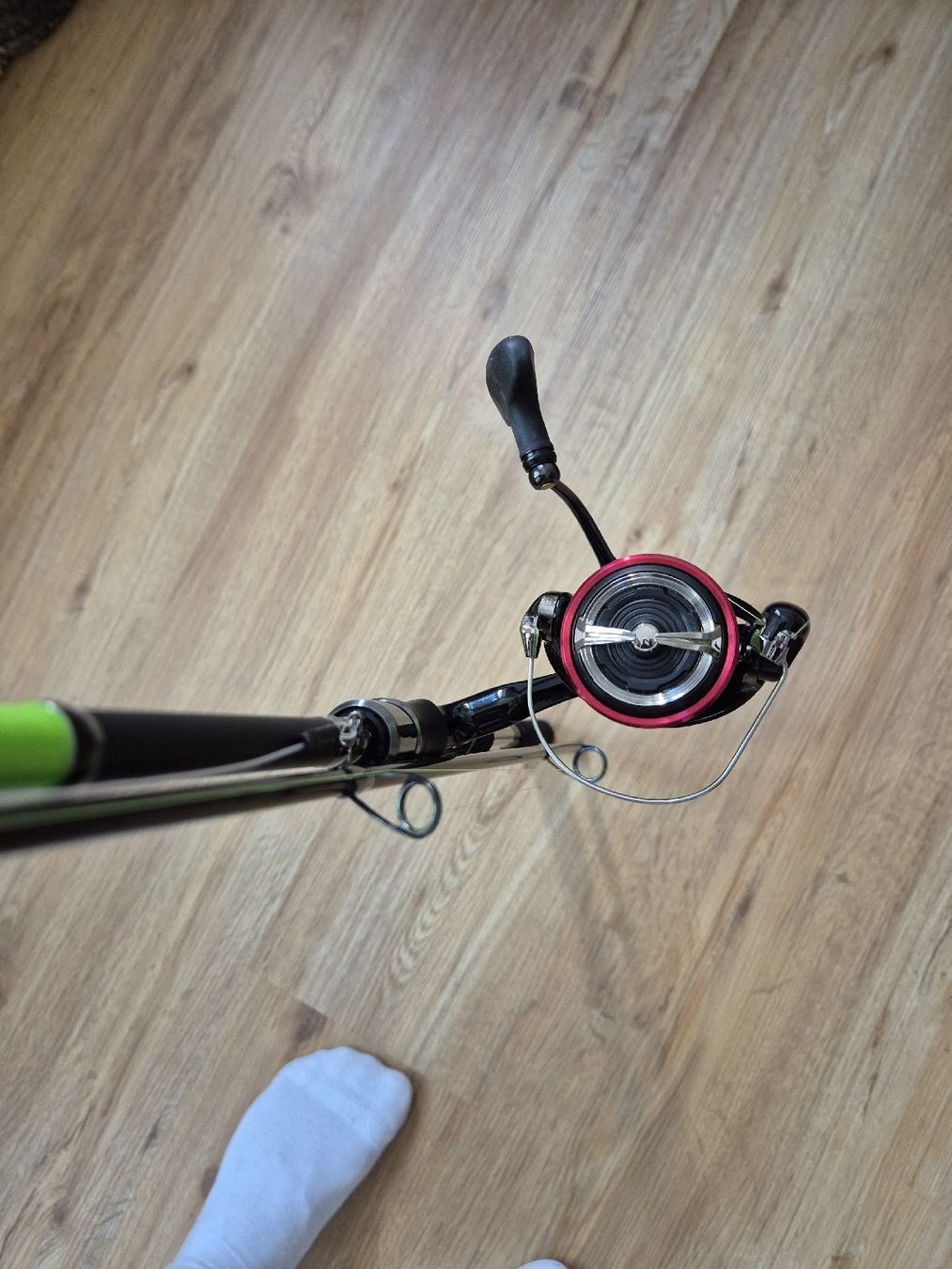 Daiwa Canne da pesca: Daiwa Prorex Spin Rute – Nuovo (secondo la descrizione) da Beckenried venduto da fon_fc2l 9