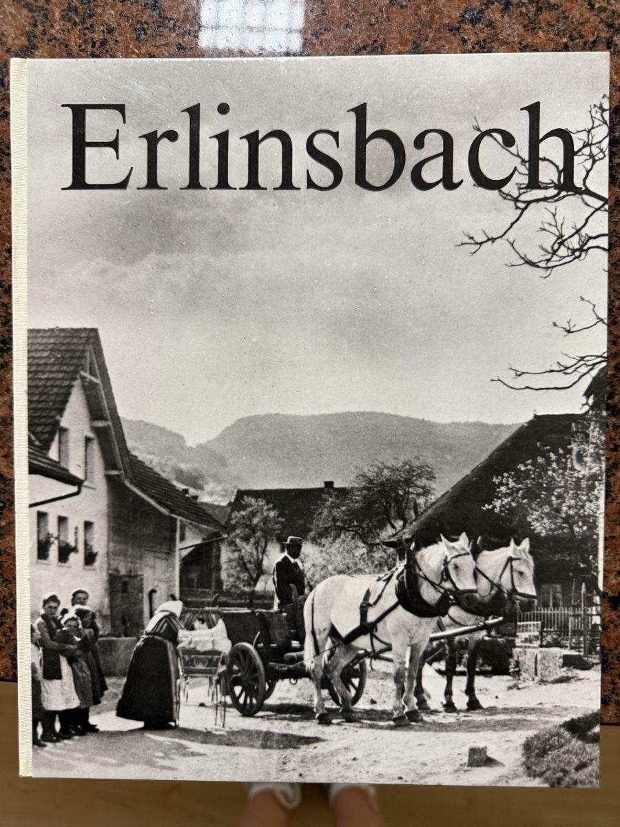 Libri: Buch ‚Erlinsbach‘ – Usato da Erlinsbach SO venduto da Gertrud04