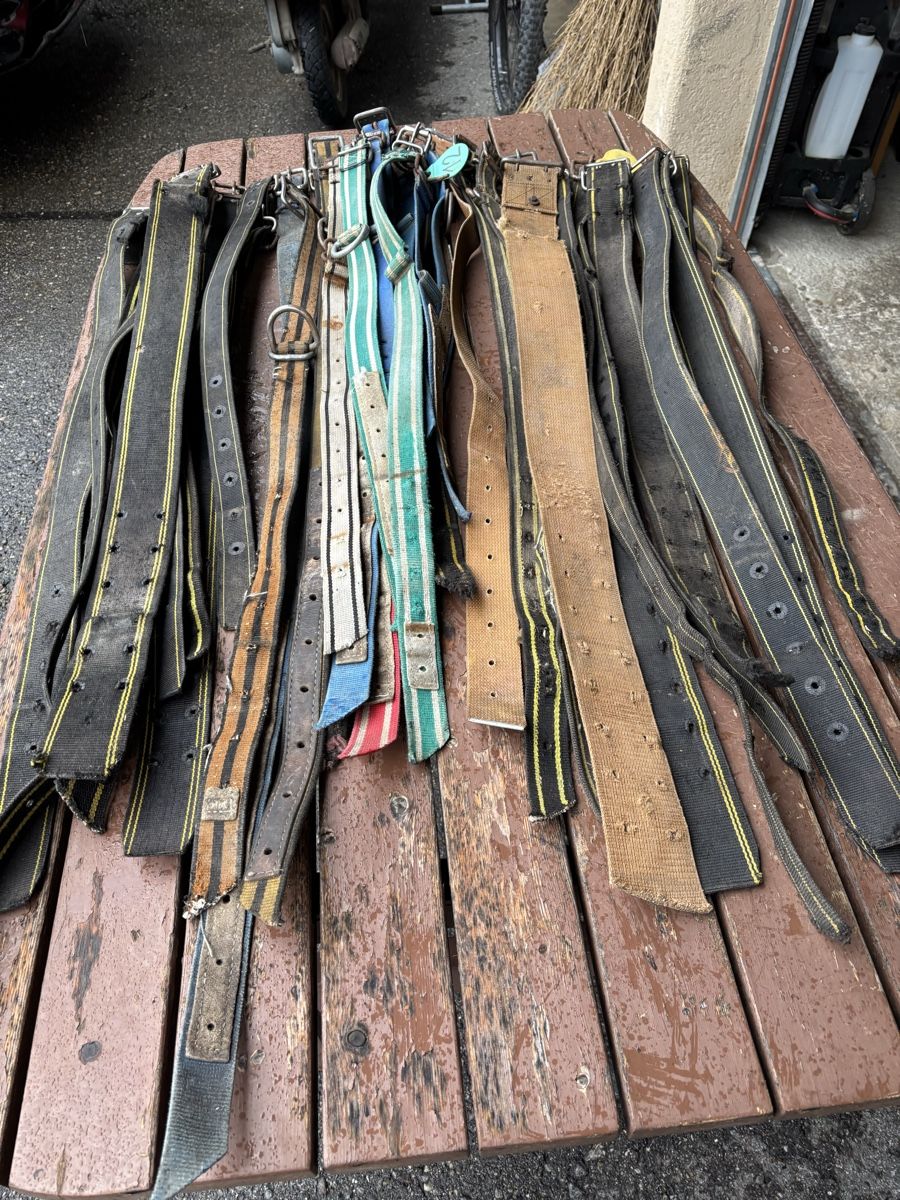 Glocken & Treicheln: 35 Stk. Kuhhalsbänder/ Nylonriemen – Gebraucht aus Schangnau von Roseggli82 4