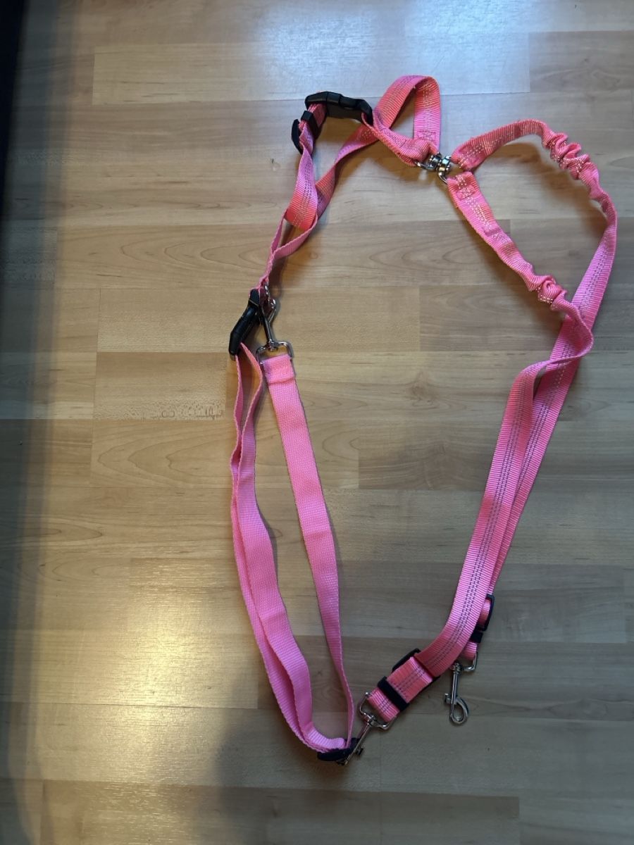 Guinzagli & Collari: Doppel Hunde Jogging Leine, Rosa – Usato da Mühledorf SO venduto da Dania77