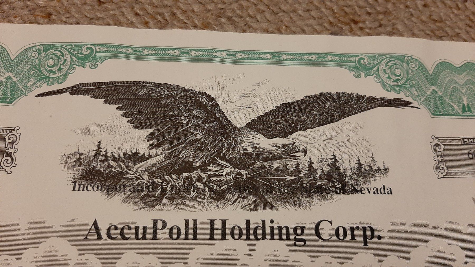 Documenti: Aktie AccuPoll Holding Corp.,  Nevada – Usato da Porza venduto da ulletta1 1