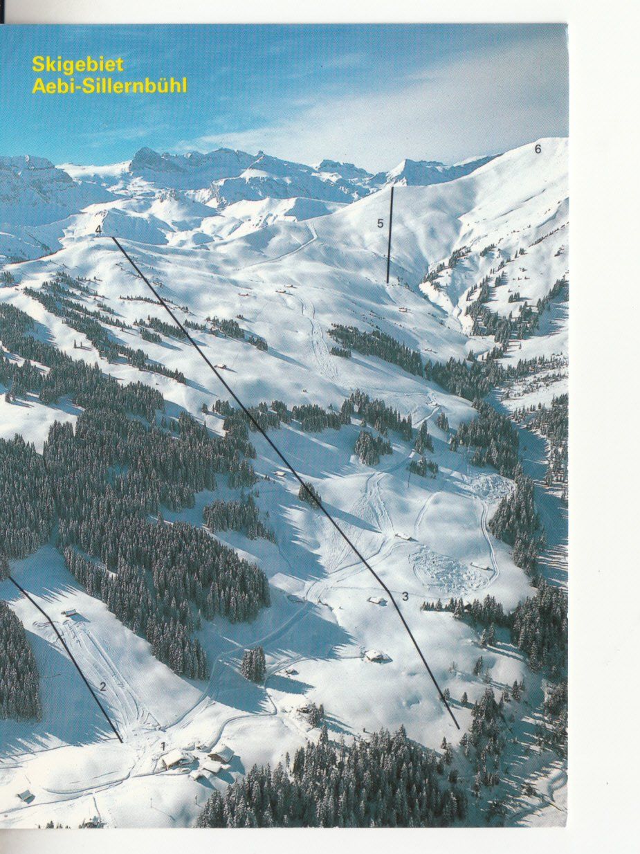 Ansichtskarten: Aebi Sillernbühl 1991 – Gebraucht aus Bürglen TG von StampGraf