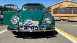 VW Käfer 1966, Frisch MFK 26, Veteraneintrag, Jahrgang 1966