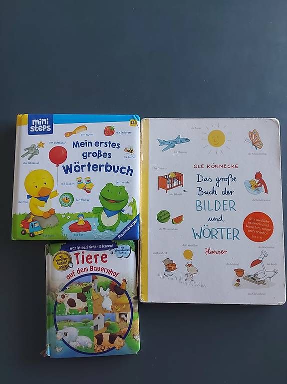 Bücher: Kinderbücher  – Gebraucht aus Zürich von Tunguskah