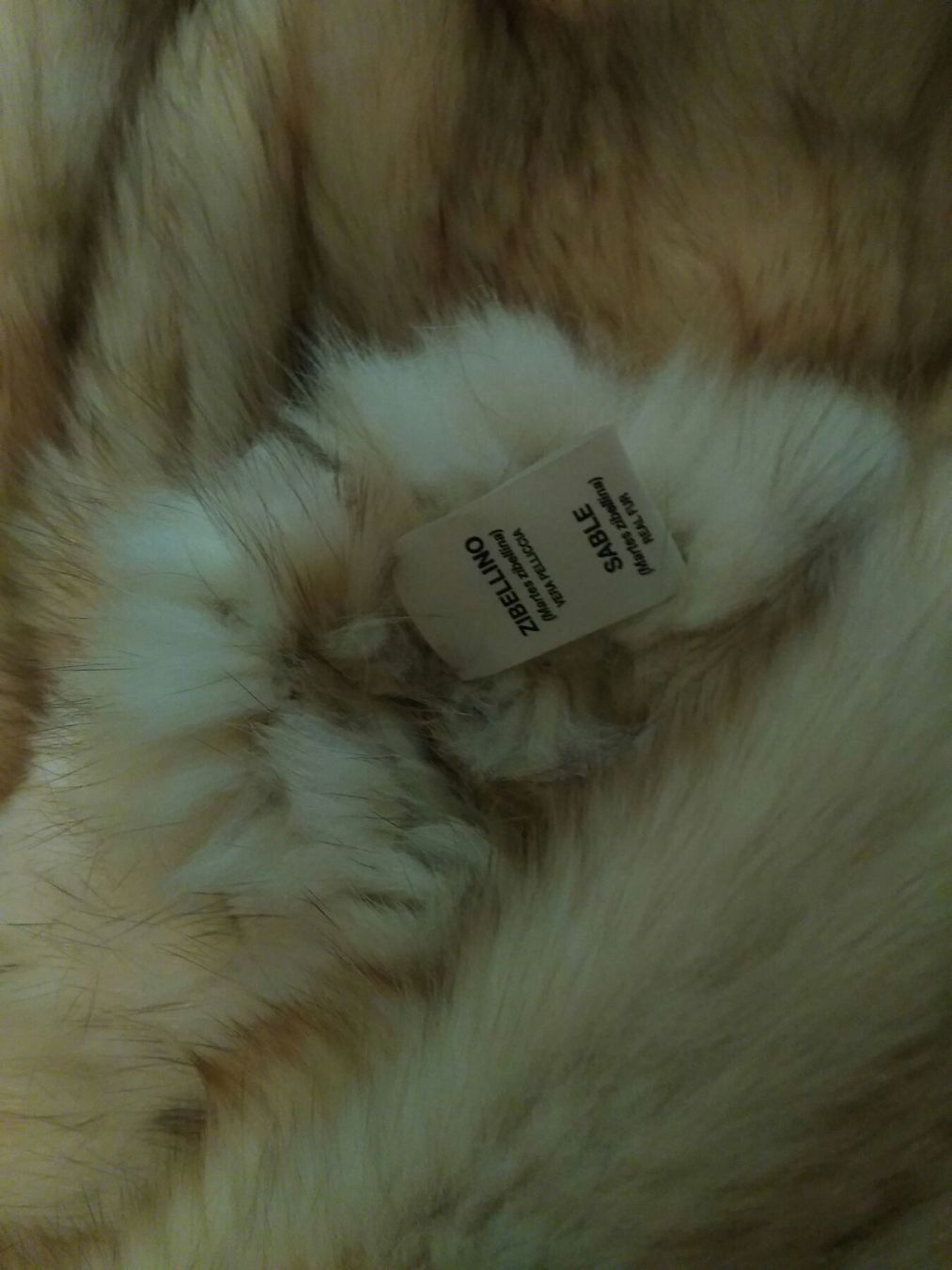 Jacken: Neue Zobel Pelzjacke mit Schal , – Neu (gemäss Beschreibung) aus Obergösgen von crystalfox 6