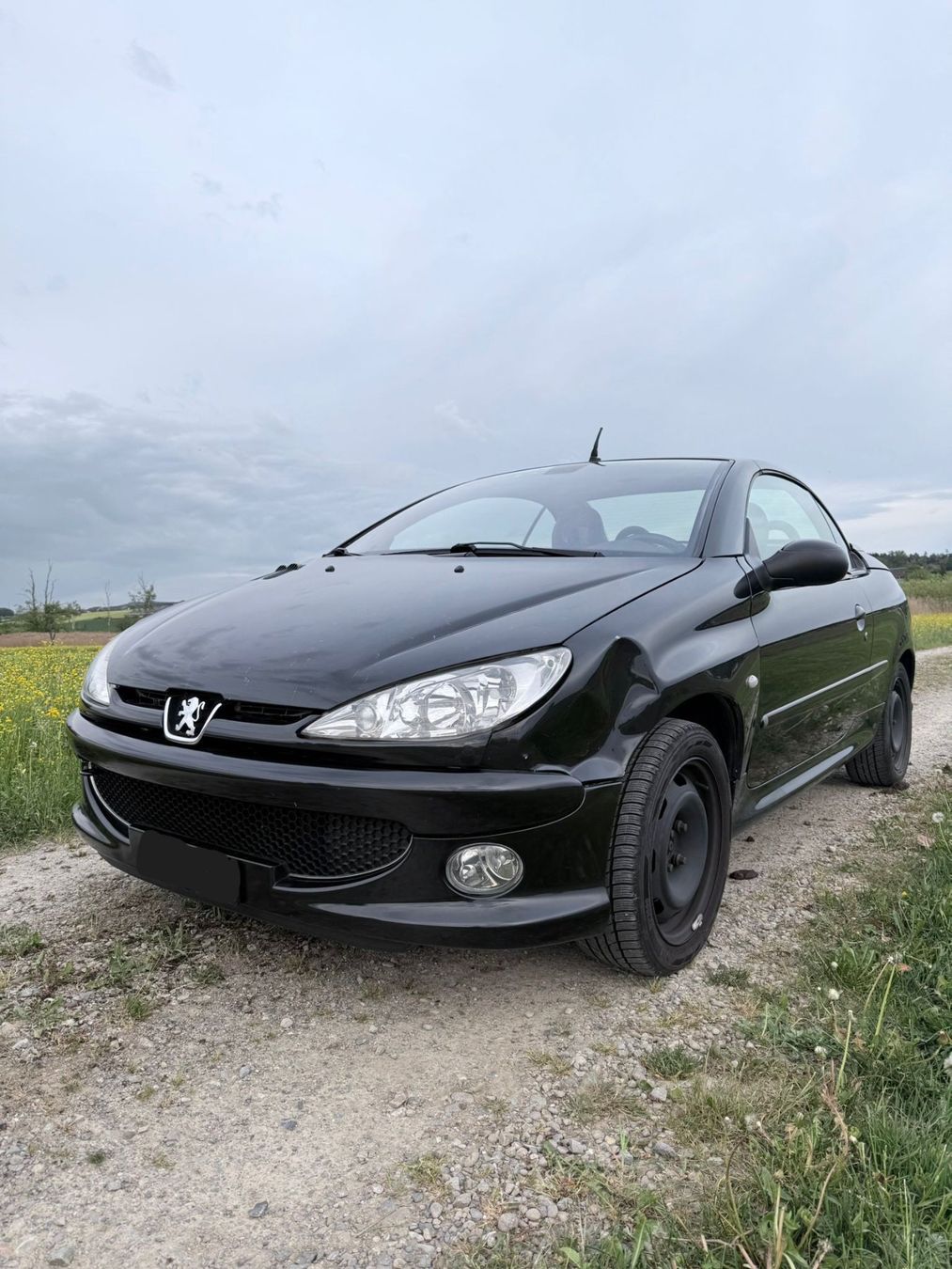 Peugeot Automobili: Peugeot 206 CC 2.0 Cabrio – Difettoso da Weingarten-Kalth venduto da Idesiree 2
